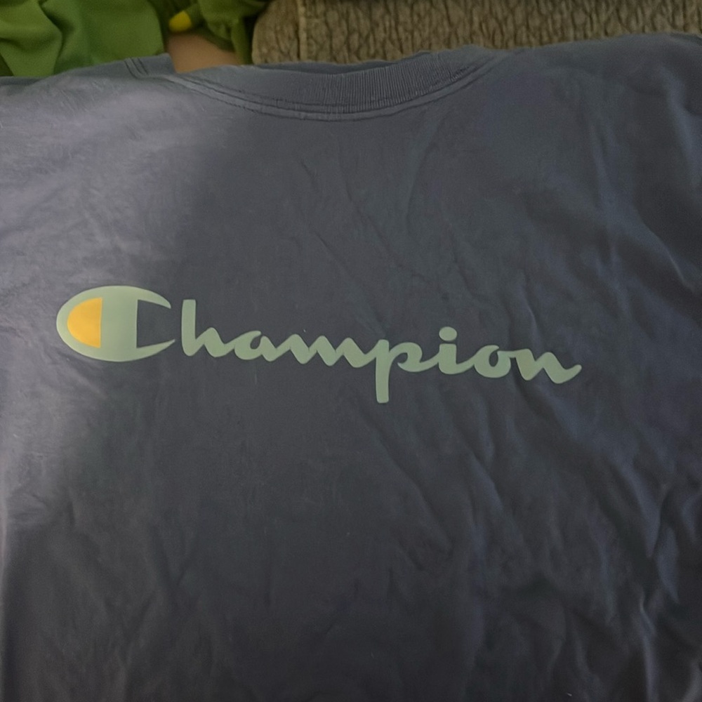 Champion cropped shirt
